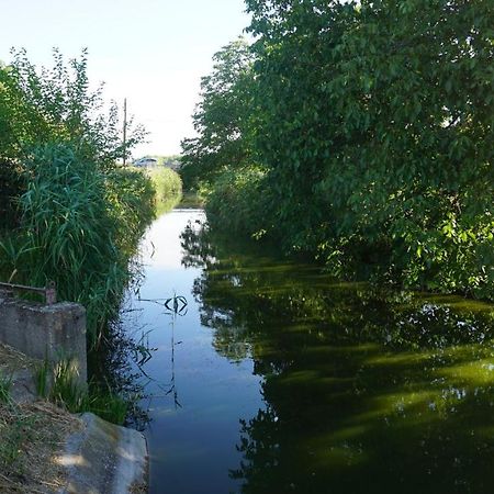 Edes Otthon Apartman Gyula Buitenkant foto